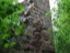 DSCF0140