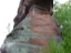 DSCF0145