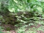 DSCF0164