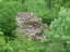 DSCF0168