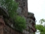 DSCF0171