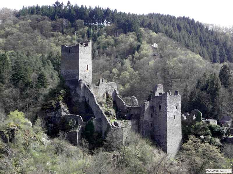 Manderscheider-Burgen-014
