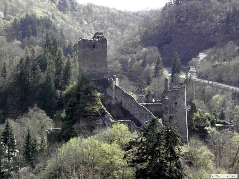 Manderscheider-Burgen-023