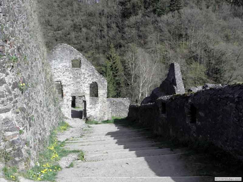 Manderscheider-Burgen-050