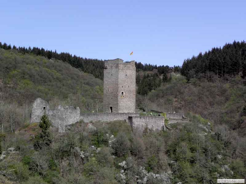 Manderscheider-Burgen-011