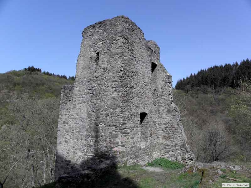 Manderscheider-Burgen-020