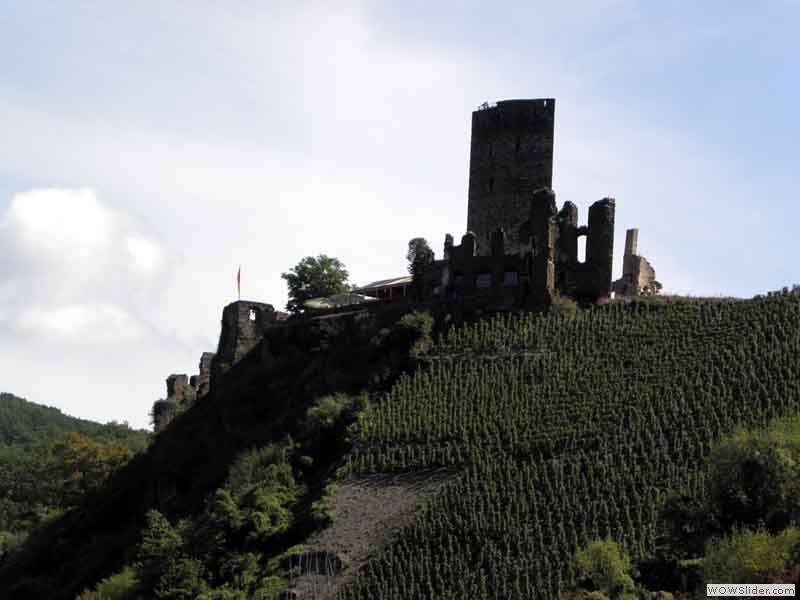 P8200486