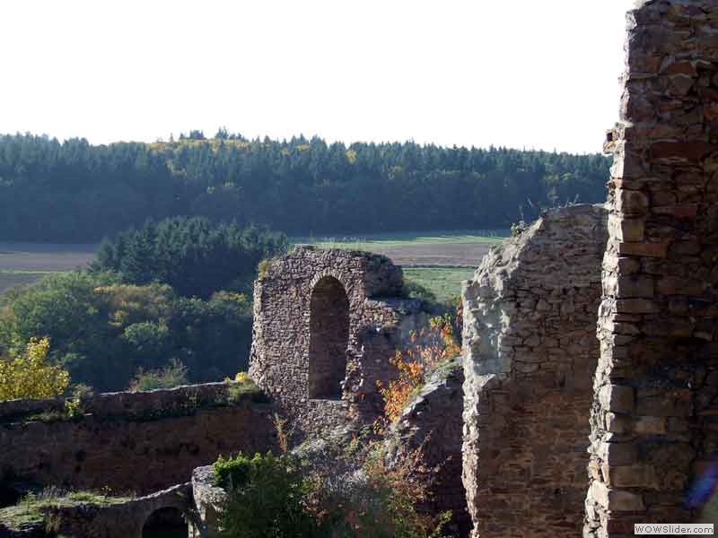 Burg-Montfort-020