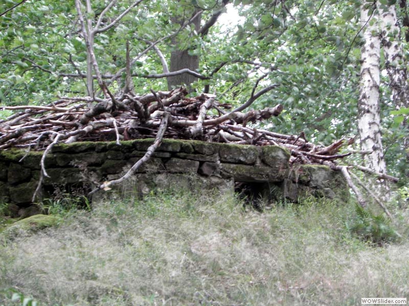 Neuwindstein003