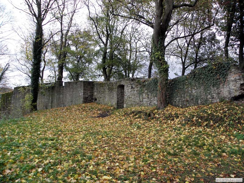 Neu-Wolfstein001