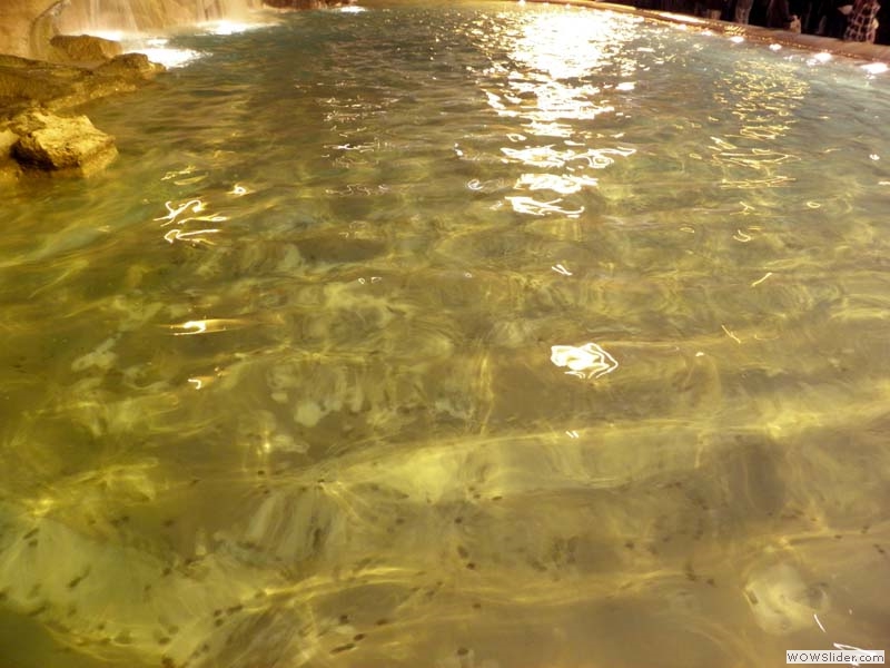 Rom Fontana di Trevi 161