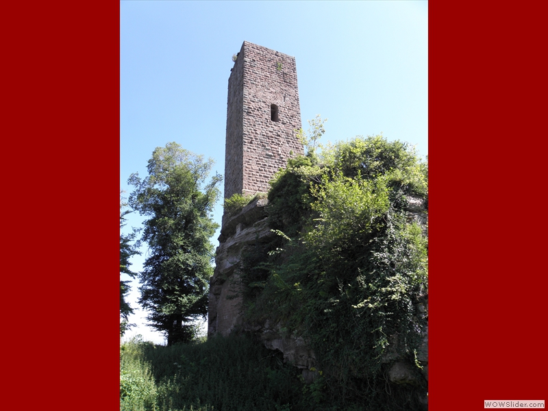 Scharfenberg-003