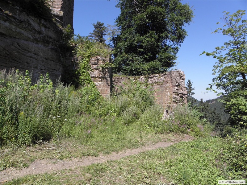 Scharfenberg-008