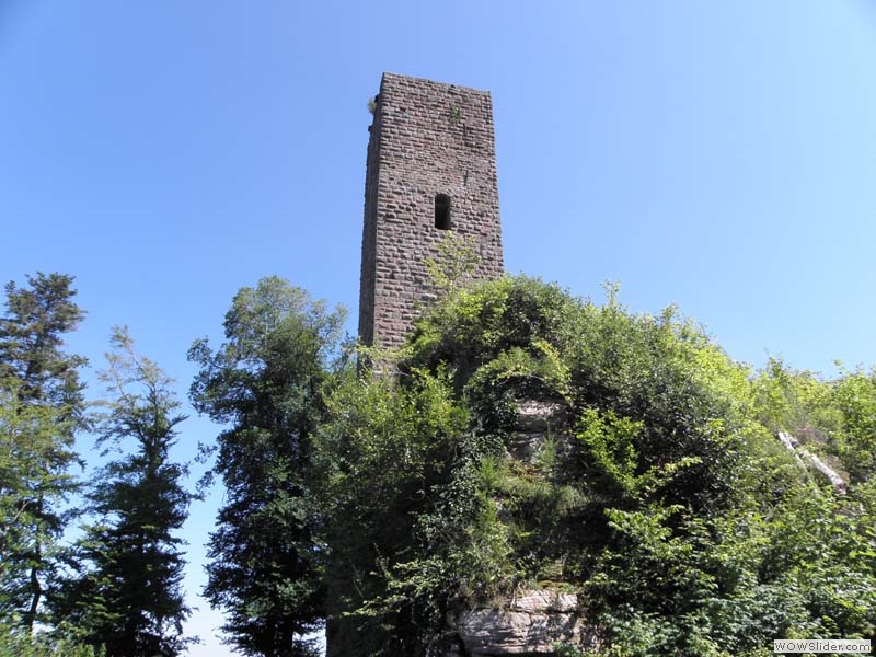 Scharfenberg02