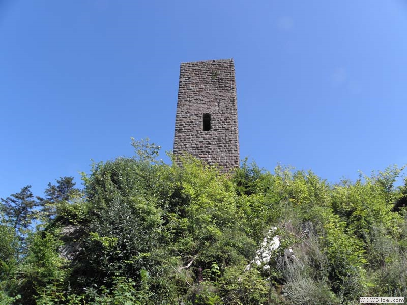 Scharfenberg03