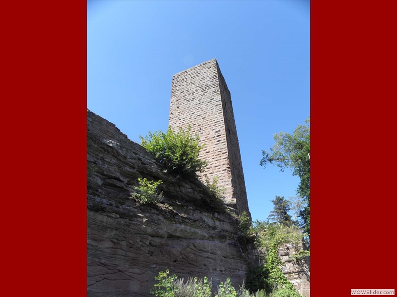 Scharfenberg06