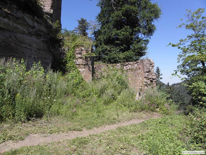 Scharfenberg07