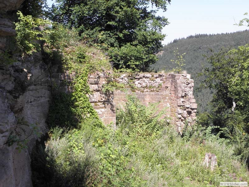 Scharfenberg08