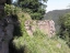 Scharfenberg08