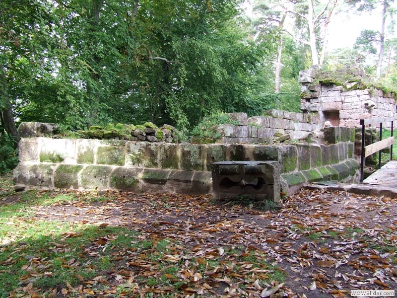 Schoeneck07