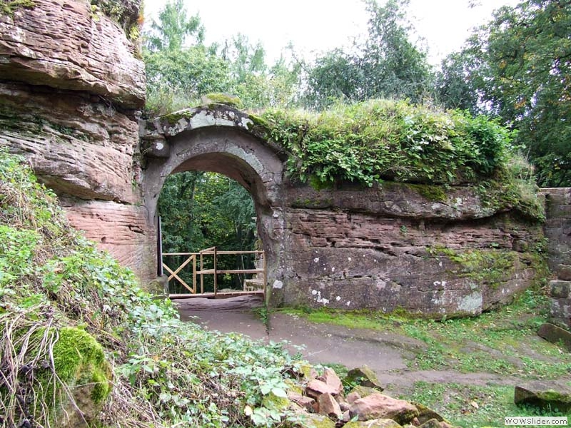 Schoeneck14