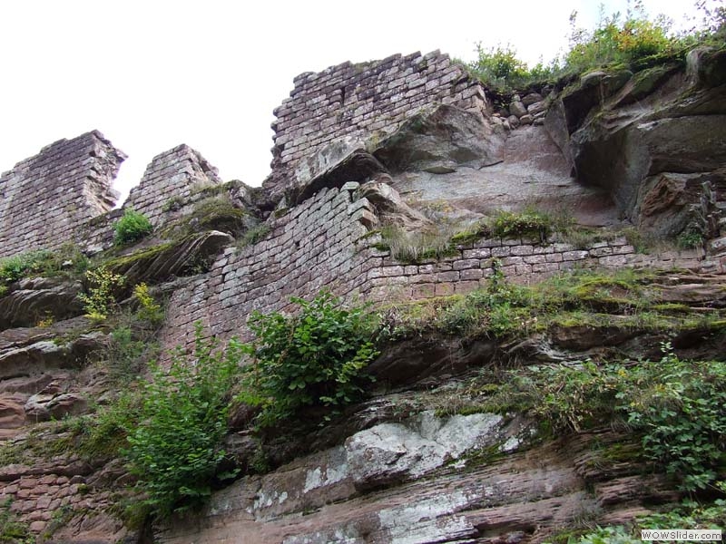 Schoeneck15