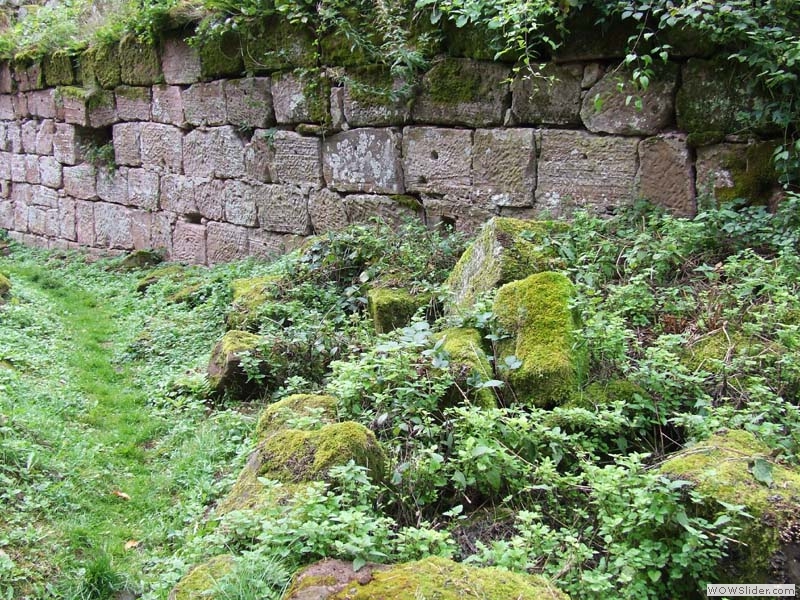 Schoeneck16