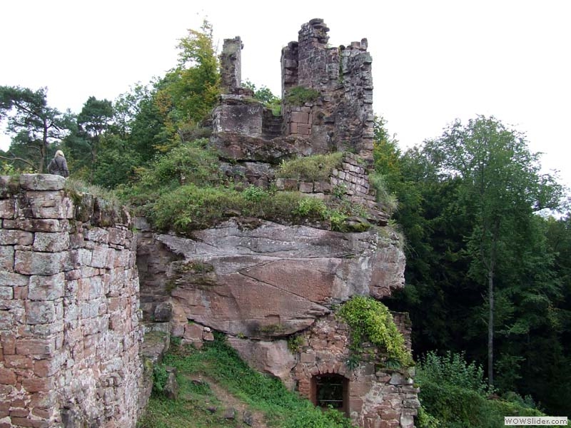 Schoeneck29