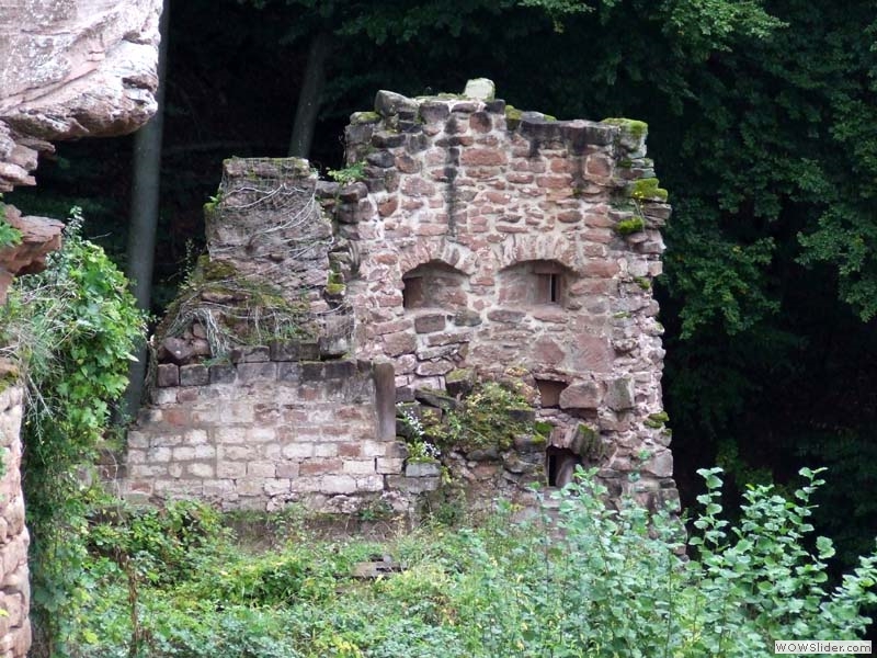 Schoeneck30