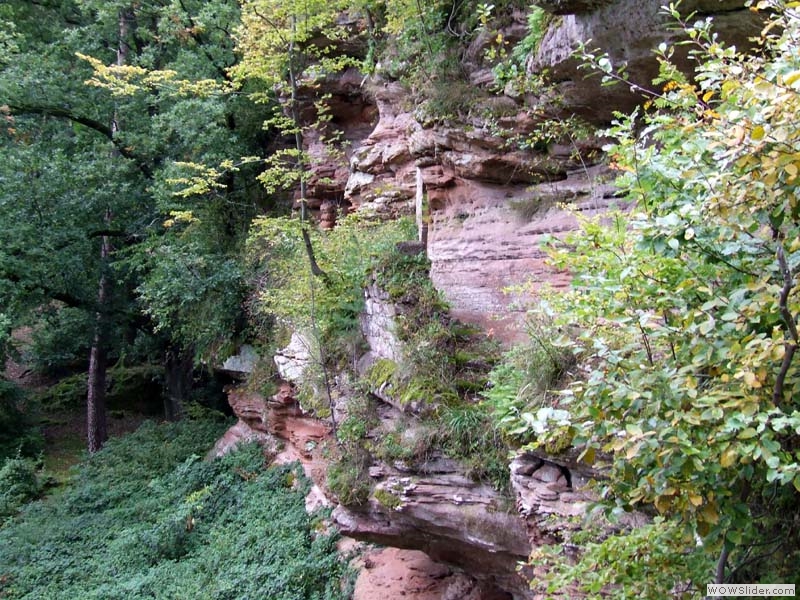 Schoeneck39