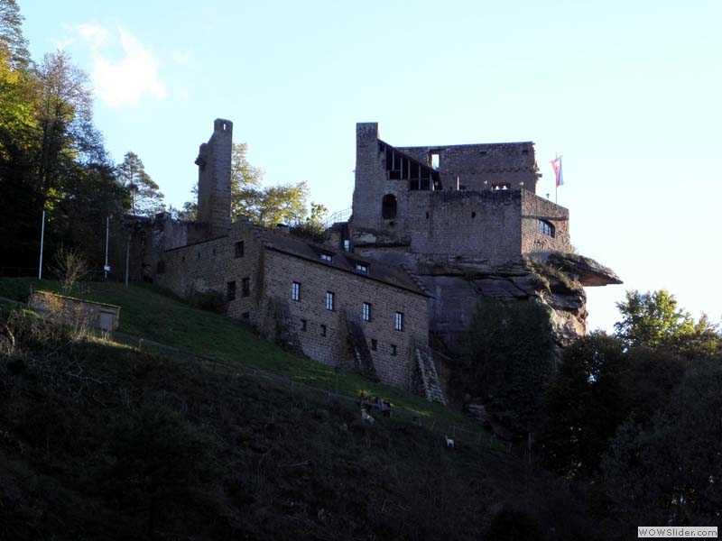 Spangenberg01