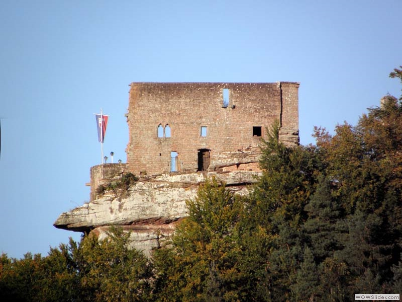 Spangenberg03