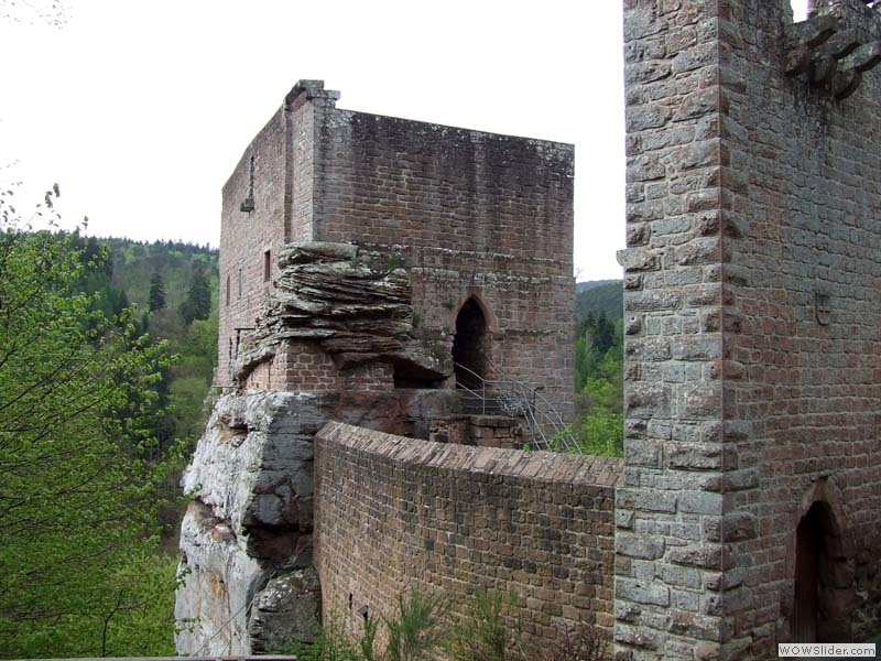 Spangenberg04