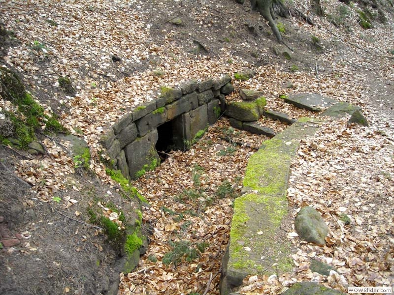 Spangenberg06