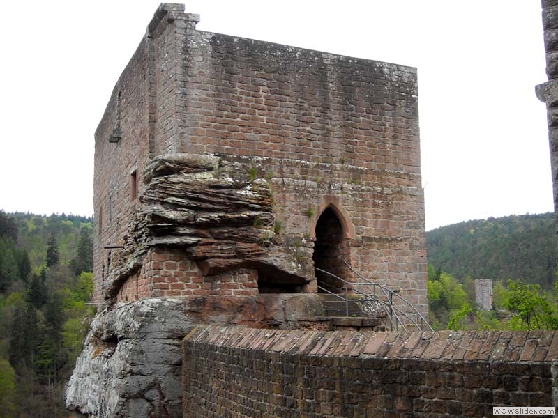 Spangenberg07
