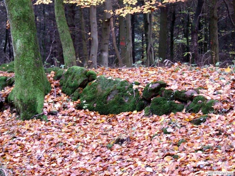 Stiefeler Schloss02