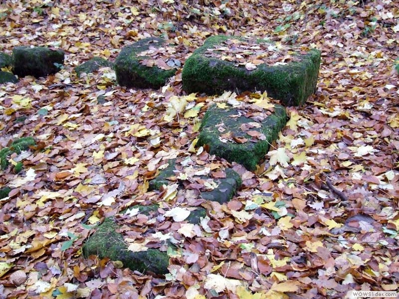 Stiefeler Schloss06