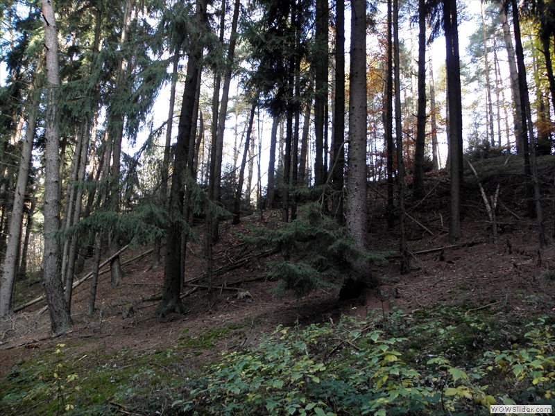 Tempelbezirk-Bierbach-001