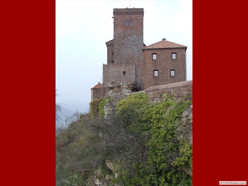 Trifels13