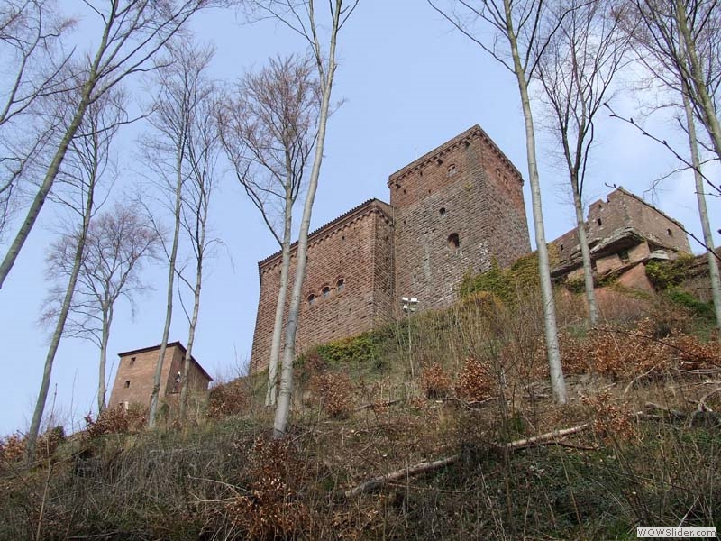 Trifels16