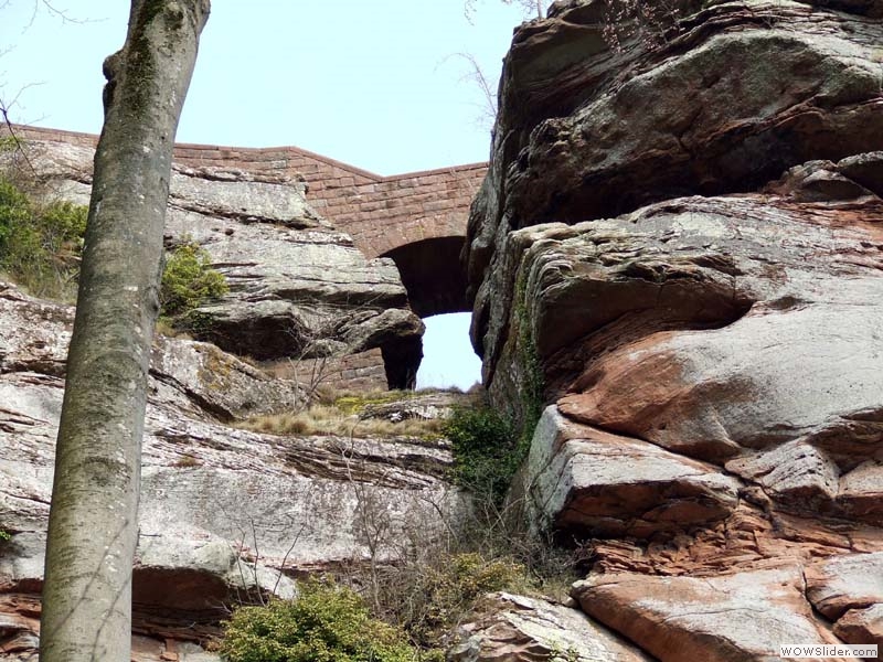 Trifels18