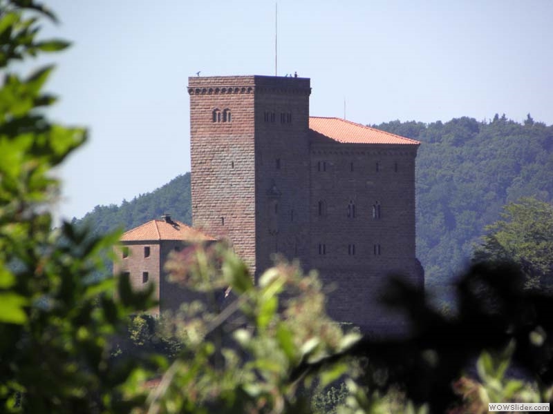 Trifels22