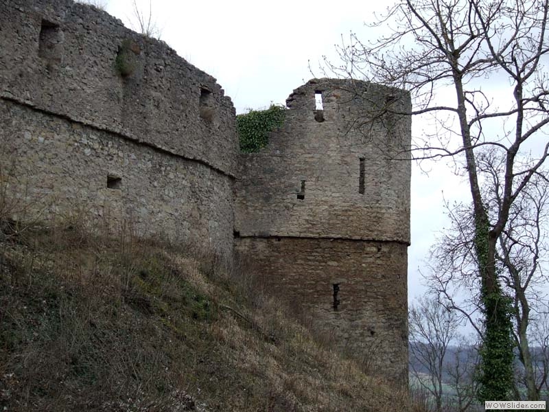 Trimburg08