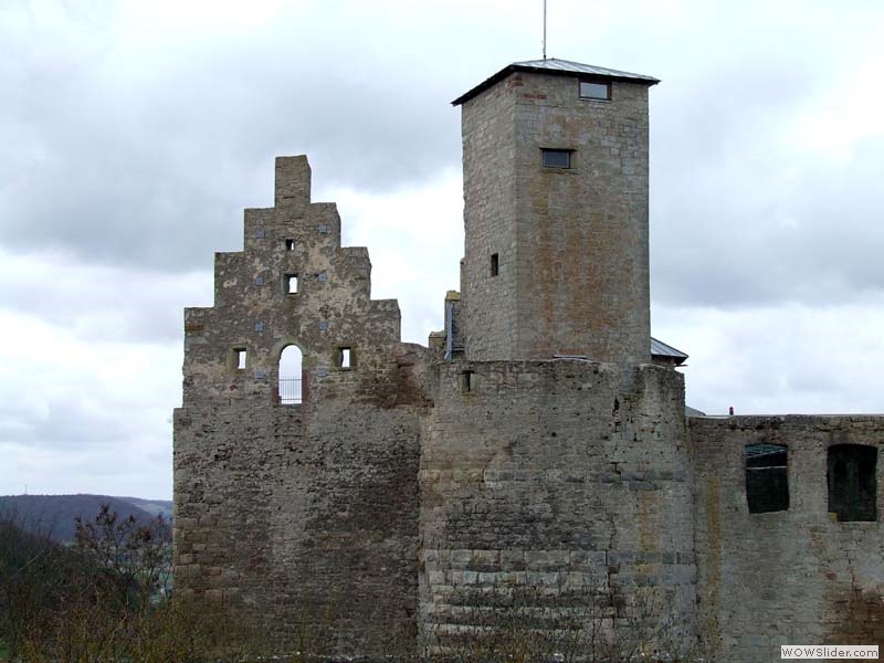 Trimburg11