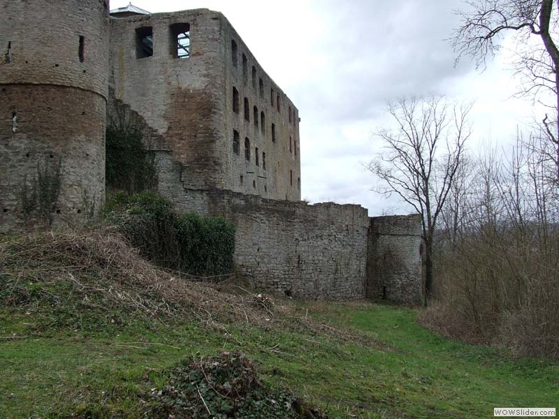Trimburg13
