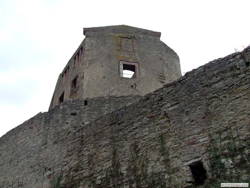 Trimburg16