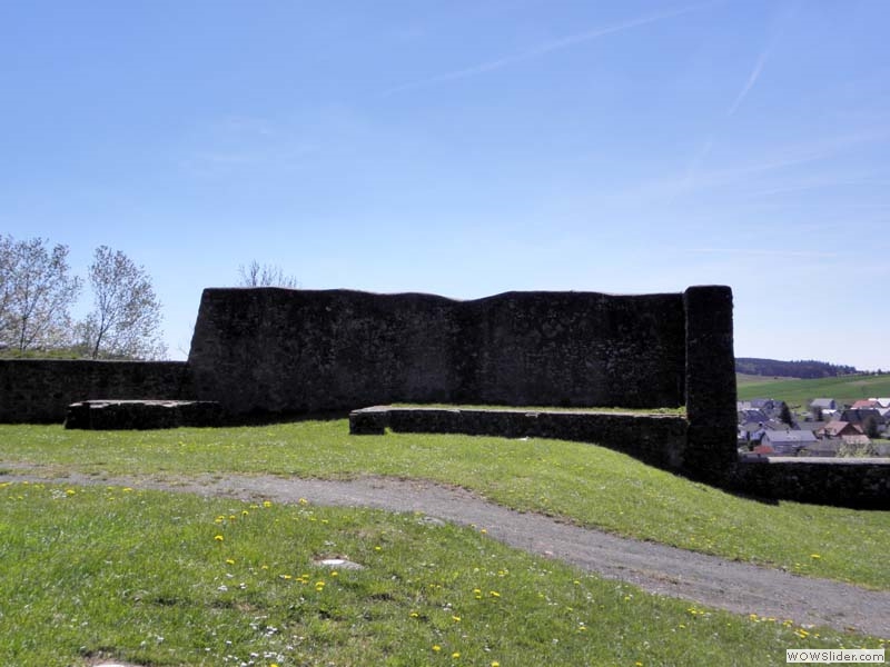 Ulmer Burgen03