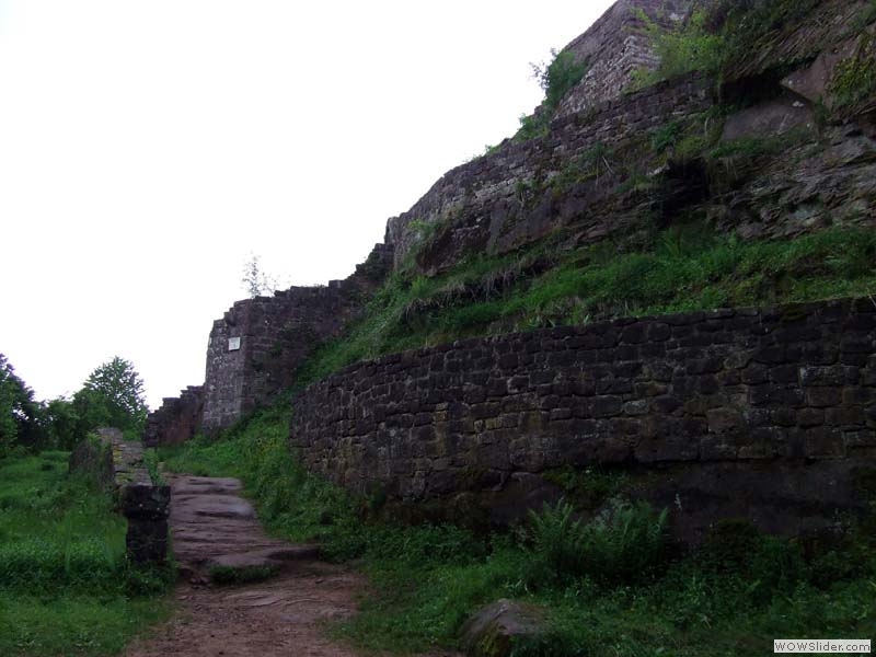 Wegelnburg03