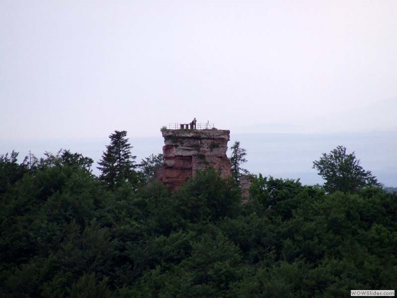 Wegelnburg21