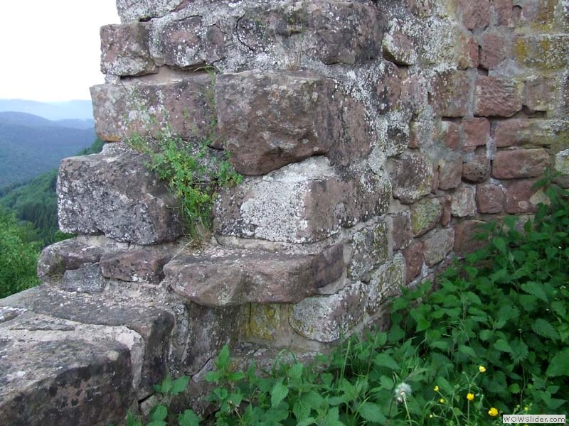 Wegelnburg28